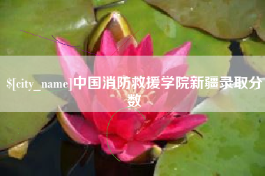 温县中国消防救援学院新疆录取分数