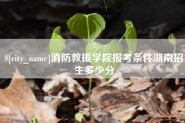 温县消防救援学院报考条件湖南招生多少分
