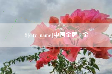 温县中国金牌18金