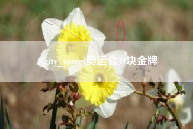 温县奥运会39块金牌