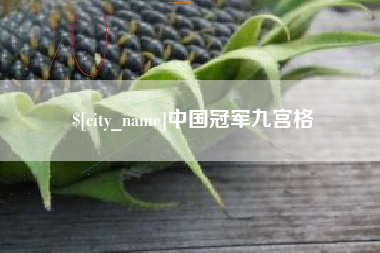 温县中国冠军九宫格
