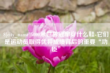 温县5000米世界冠军穿什么鞋-它们是运动员取得优异成绩背后的重要“功臣”