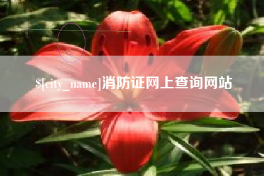 温县消防证网上查询网站