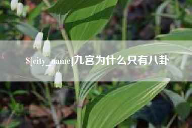 温县九宫为什么只有八卦