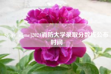 温县2024消防大学录取分数线公布时间