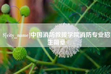 温县中国消防救援学院消防专业招生简章