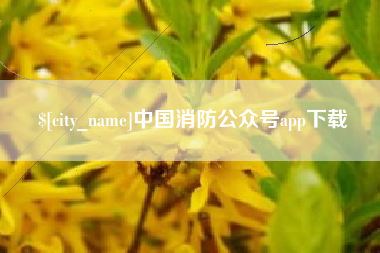 温县中国消防公众号app下载