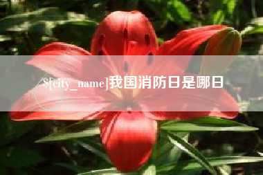 温县我国消防日是哪日