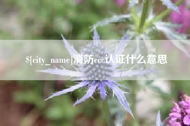 温县消防ccc认证什么意思