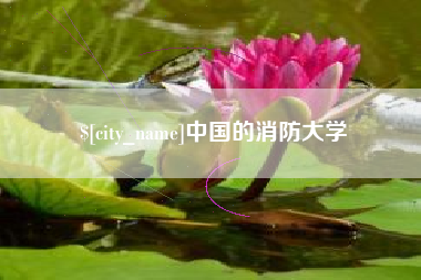 温县中国的消防大学