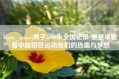 温县男子5000米全国记录-更是承载着中国田径运动员们的热血与梦想