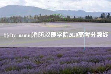 温县消防救援学院2020高考分数线