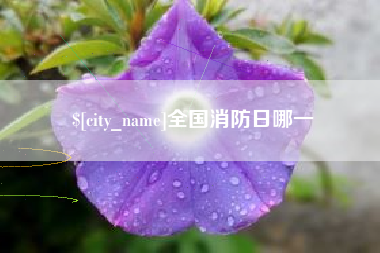 温县全国消防日哪一