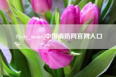 温县中国消防网官网入口