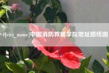 温县中国消防救援学院地址路线图