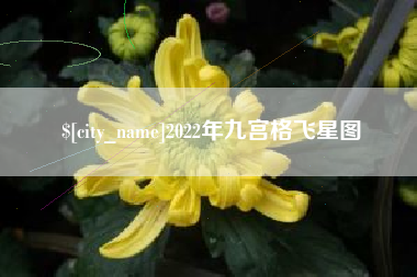 温县2022年九宫格飞星图