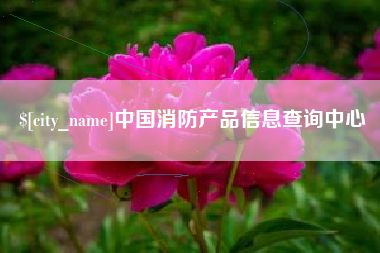 温县中国消防产品信息查询中心