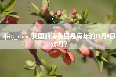温县我国的消防日是每年的11月9日对吗？