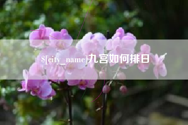 温县九宫如何排日