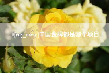 温县中国金牌都是哪个项目
