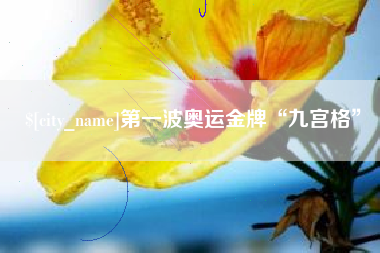 温县第一波奥运金牌“九宫格”