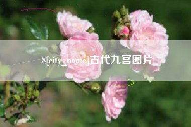 温县古代九宫图片