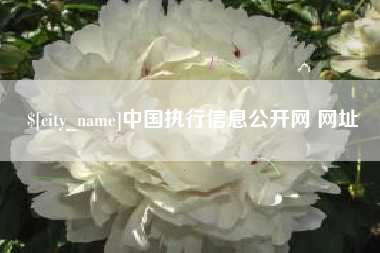 温县中国执行信息公开网 网址