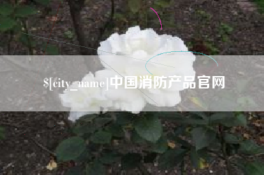 温县中国消防产品官网