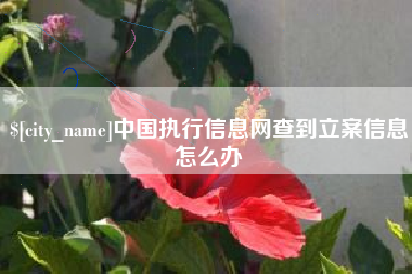 温县中国执行信息网查到立案信息怎么办