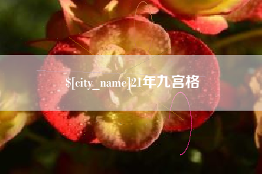 温县21年九宫格