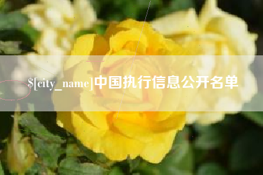 温县中国执行信息公开名单