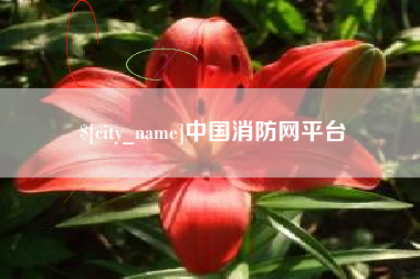 温县中国消防网平台