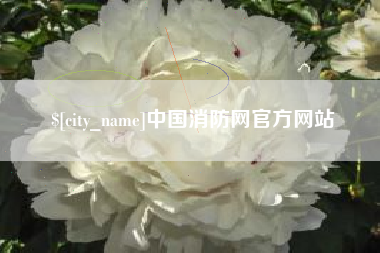 温县中国消防网官方网站