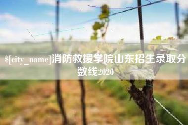 温县消防救援学院山东招生录取分数线2020