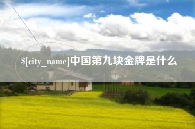 温县中国第九块金牌是什么