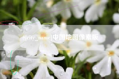 温县中国地图像素版