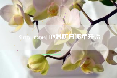温县119消防日哪年开始