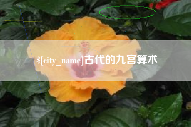 温县古代的九宫算术