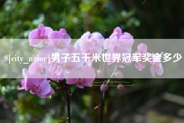 温县男子五千米世界冠军奖金多少