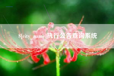 温县执行公告查询系统