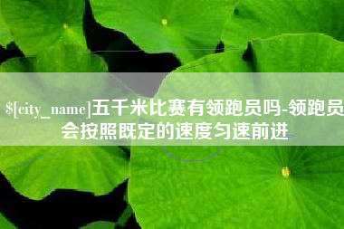 温县五千米比赛有领跑员吗-领跑员会按照既定的速度匀速前进