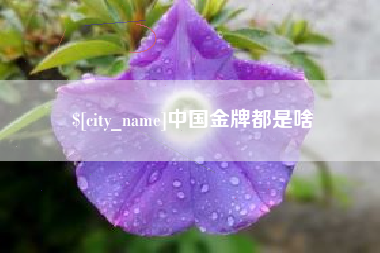 温县中国金牌都是啥
