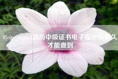 温县消防中级证书电子版查询多久才能查到