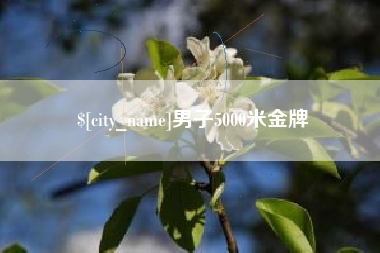 温县男子5000米金牌