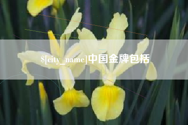温县中国金牌包括