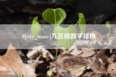 温县九宫格数字排序