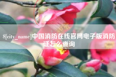 温县中国消防在线官网电子版消防证怎么查询