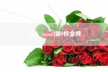 温县第9枚金牌