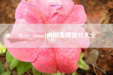 温县中国金牌图片大全