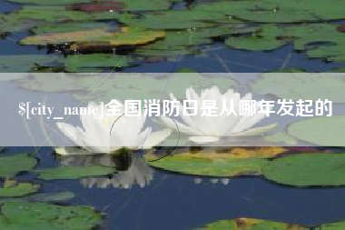 温县全国消防日是从哪年发起的